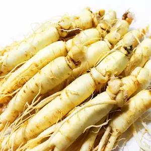 가정용 햇 수삼 세척인삼 원삼 [中] 12-14편 600g