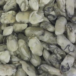 [굴철철]통영1등급 생굴10kg/大小/자연채모종굴