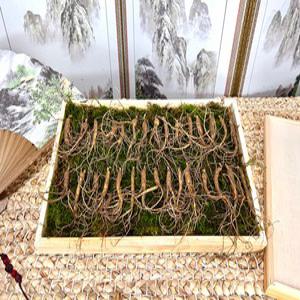 5-6년근 15+15뿌리 기간한정 총30뿌리 설 추석명절 선물추천 부모님 지인선물