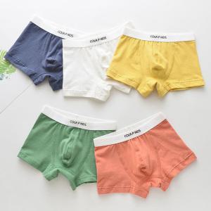 레밍 남아 드로즈 5종세트 / 유아 팬티 아동 주니어 사각