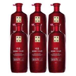리엔 자윤 오리엔탈 모근강화 지성 샴푸 950mL x 6개