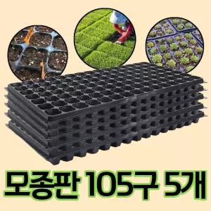 모종 트레이 모종판 육묘판 105구 5개/작물/키우기/원예/조경/정원/마당/묘종/육묘/트레이/컵/상자/세트