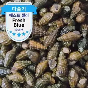 국내산 생다슬기 1kg 청정 자연산 올갱이