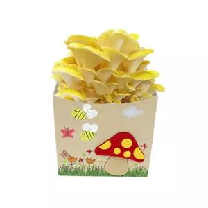 노랑 느타리 버섯 키우기 재배 세트 가정학습 체험학습 도구