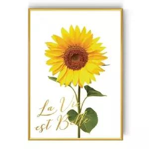 [숑숑몰마켓] [숑숑몰마켓] 해바라기액자D 집들이 개업 신혼집 선물 사업자등록증프레임