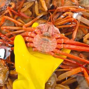 [롯데백화점]인정식탁 일품대게 구룡포 연지 홍게 A급 4kg (13-15마리)