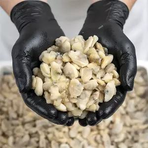 냉동 자숙 바지락살 10kg 해감 깐바지락 세척 손질 조갯살 조개살