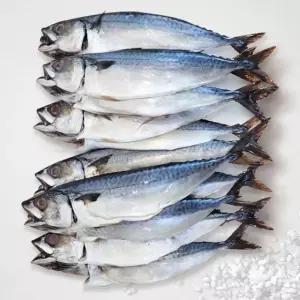 [S]해담 국내산 손질 자반 고등어 소 12미 (1미당 150-210g 내외)