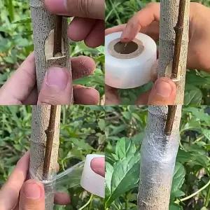 느낌상점 식물테이프 수술 재생 테이프 나무 접목 수태 접붙이기 원예