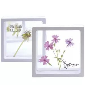 글로벌이지 투명 액자 하바리움/압화/곤충 (소) (1인용)