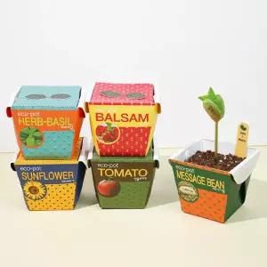 아트박스/꿈쟁이 꿈쟁이 에코팟 자연학습 종이 식물기르기 (5종택1)