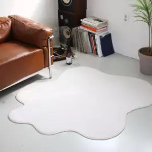 소프트 극세사 비정형 인테리어 사계절 러그