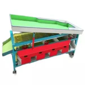 키위 선별기 대추 분리기 자두 사과 과일 농업용 블루베리 소팅머신