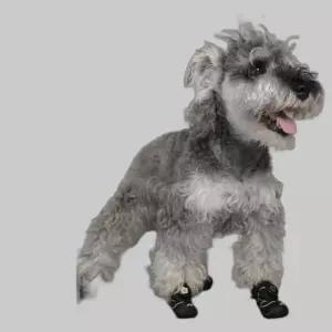 콩쓰몰리 강아지신발 여름 미끄럼방지 다이얼 운동화 한켤레2개