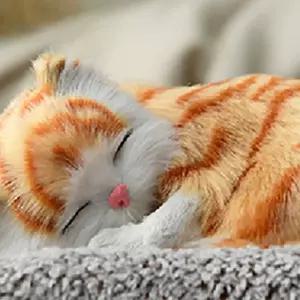 제습인형 얼룩 고양이 소형 차량실내탈취제 귀여운제습인형