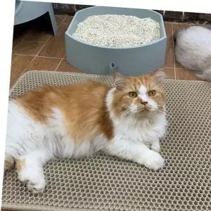 고양이매트 베이지 고양이 모래매트 방수 애묘 방지