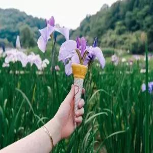 [출발확정] 무조건출발 [파격특가] 규슈/사가/우레시노 3일 #소도시감성 #우레시노미인온천 #유후인+벳부+다자이후 #라라포트쇼핑몰 #호텔뷔페식 #사가IN 후쿠오카OUT