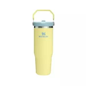 스탠리 아이스플로우 플립 스트로 2.0 텀블러 887ml 포멜로 409662