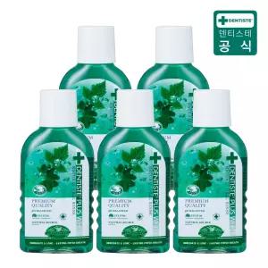 덴티스테 내추럴 오랄린스 100ml 5개