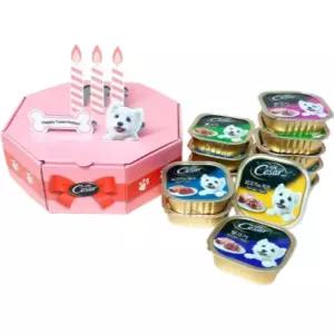 시저 강아지 생일 케이크 패키지 SET 주식캔 2종 12개 BNA
