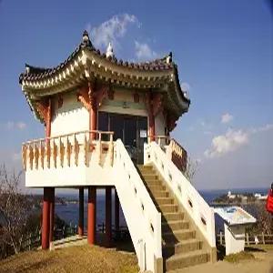 대마도 3일 #노바호 #소아루온천리조트 #히타카츠토요코인 #히타IN-이즈OUT #BBQ특식 #자유일정포함