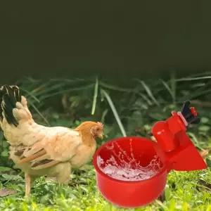 닭 자동 급수기 물통 병아리 오리 급수 닭장 양계장 물 수평컵 비둘기 새 EJZ5+7bIe