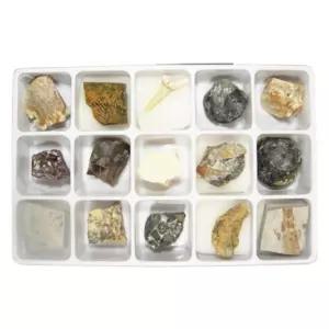 고생대관찰 과학수업 화석 표본세트 15종 자연학습 전시용 교과연계 방과후 홈스쿨링