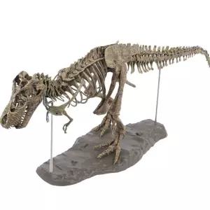 공룡 뼈 모형 피규어 장난감 만들기 조립 티라노사우루스 장식품 조형물