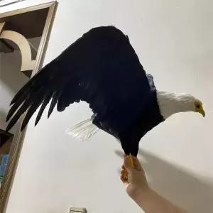 수리 대형 모조 소품 모형 날개 깃털 장식품 독수리