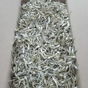 [NS홈쇼핑]etv 품질좋은 국산 가이리멸치 1.5kg 저염 멸치[35766336]