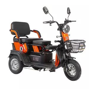 세발 전동 오토바이 스쿠터 전동차 어르신 전동스쿠터 자전거 성인용