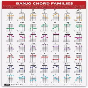 QMG 밴조 코드 패밀리 포스터 (11 x17 ) ？ 49개의 색상 코드가 있는 적층 차트 음악 이론 및 진행 학습을