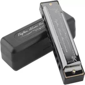 OriGlam 10홀 20톤 하모니카 C 키 블루스 초보자 성인 선물용 케이스 포함