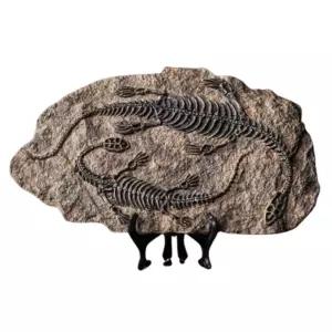 공룡화석 관찰표본 과학수업 축소모형 초등교구 교과연계 홈스쿨링 돌봄교실 놀이학습