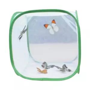 배추흰나비 한살이 관찰 키우기 사육장 투명창 수업용 채집통 과학실습 자연학습