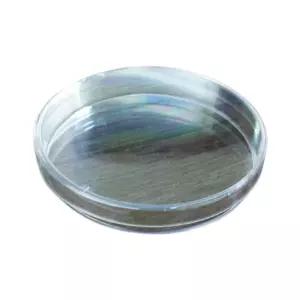 세균배양 페트리접시 플라스틱 샬레 대 10Px2세트 교과연계 기초과학 수업용 홈스쿨링