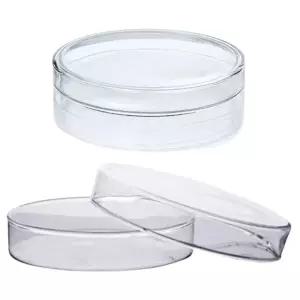 배양유리관 과학그릇 페트리디쉬 60mm 샬레 2p 빈용기 방과후학습 돌봄교실 교육완구