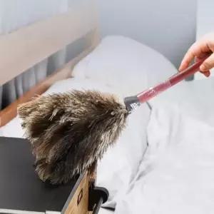 ( )타조 털이개 타조털 먼지털이 제거 먼지떨이 총재