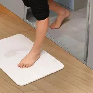 ( )물기 쏘옥 게르마늄형 규조토 욕실 매트 L(60X 39X1cm)