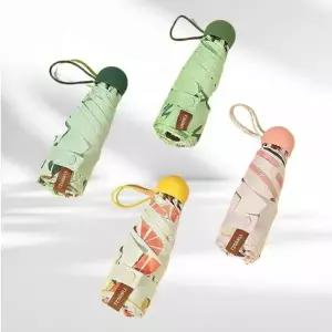 포인트 우산 초경량 케이스포함 초미니 인스타 여행용