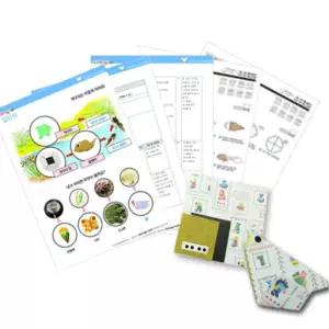 10인용 개구리한살이 종이접기 성장과정 만들기+ 활동지 성인 단체선물 수업교구