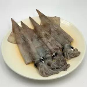 급냉 한치 2kg 통한치 냉동한치 (30미내외) 동해안