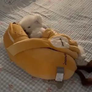 강아지 토닥토닥인형 움직이는 자동 인형 반려동물