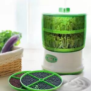 가정용 콩나물 재배기 새싹 키우기 숙주 소형 기르기 자동 수경 기계