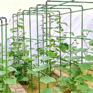 텃밭 식물 지지대 120x180x180 H. 프레임 텃밭식물지지대 11 고정대 직경 파이프