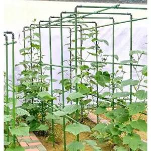 포도나무 지지대 오이 호박 하우스 덩굴 받침대 토마토 원예 직경(60X0X0)