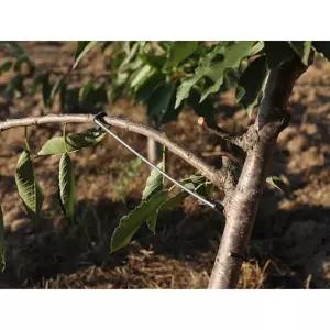 과수원 유인추 가지고정 지주대 8T(00개) 사과나무 고리 집게형