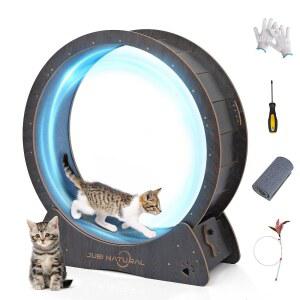 고양이 운동 휠 조용한 카펫 런웨이가 실내 39인치 러닝 잠금 메커니즘이 러닝머신 고양이의 체 감량