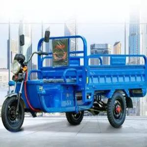 삼륜 전기스쿠터 농업용 3륜 운반 전동바이크 카트 겸용