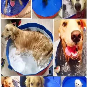 수영장 강아지수영장 애견 풀장 휴대용 물놀이 접이식 욕조